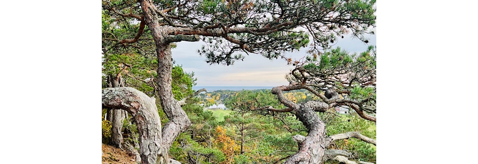 Åpningstur Ti på Topp Grimstad